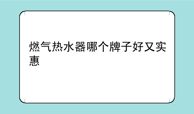 燃气热水器哪个牌子好又实惠