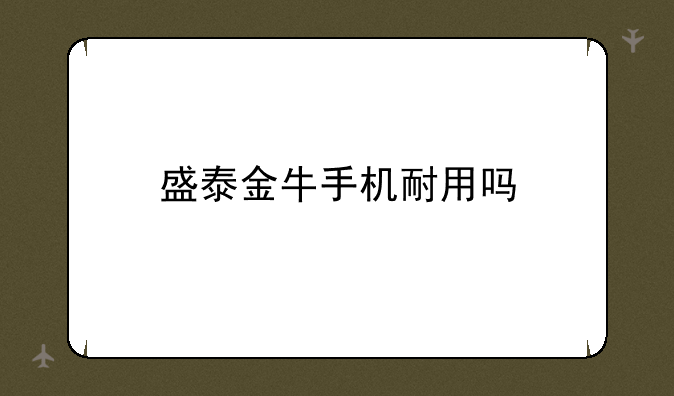 盛泰金牛手机耐用吗