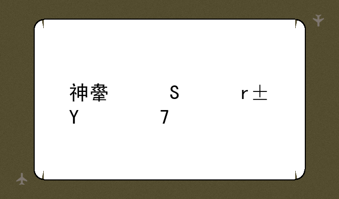 神舟笔记本hpfs01配置
