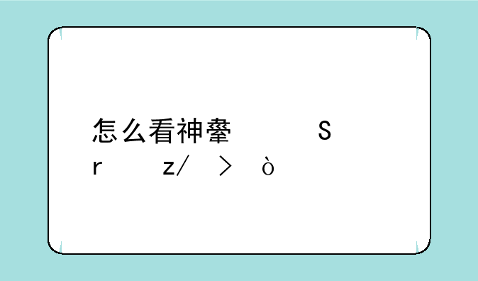 怎么看神舟笔记本型号？