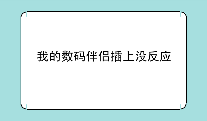 我的数码伴侣插上没反应
