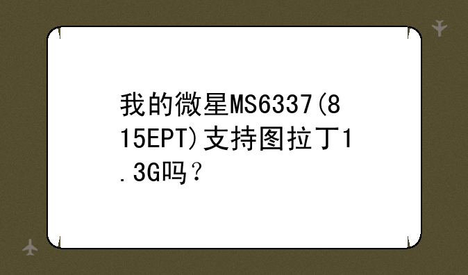我的微星MS6337(815EPT)支持图拉丁1.3G吗？