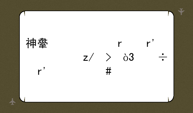 神舟超级本有几个型号，都有什么特点