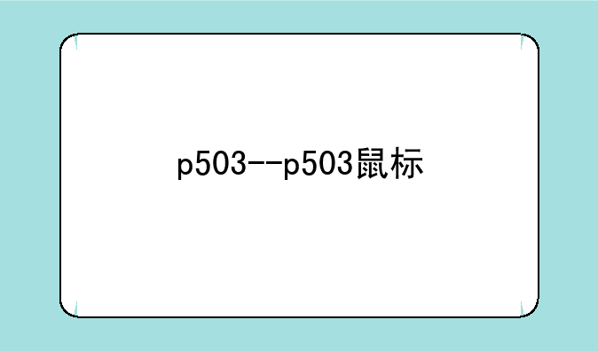 p503--p503鼠标