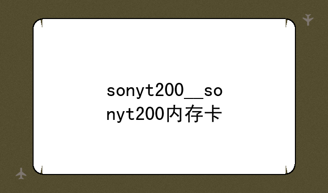sonyt200__sonyt200内存卡