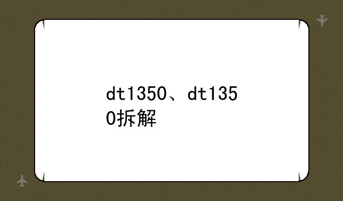 dt1350、dt1350拆解