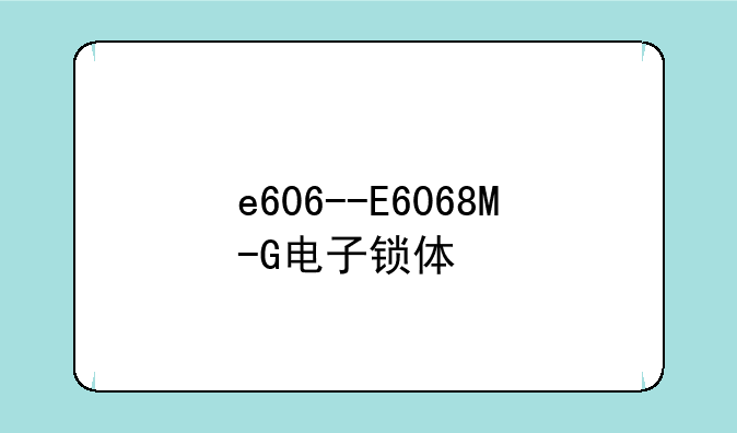 e606--E6068M-G电子锁体