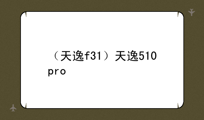 （天逸f31）天逸510pro