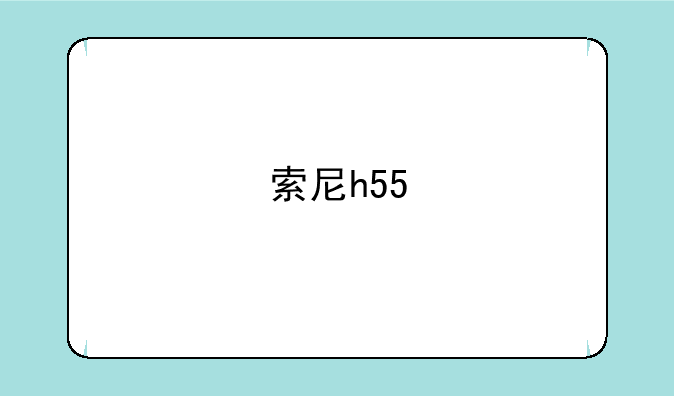 索尼h55