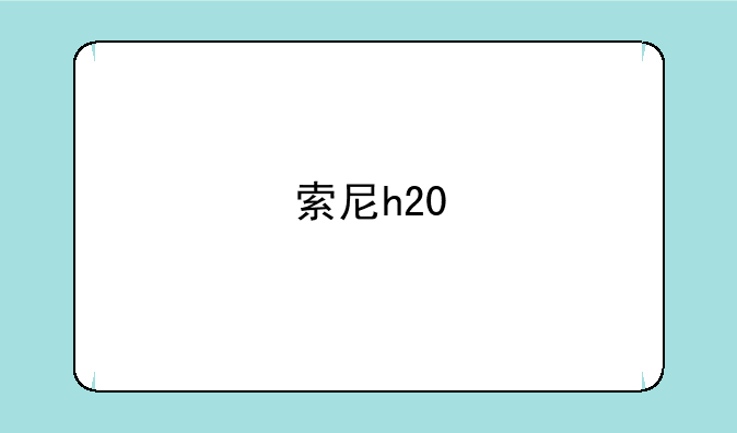 索尼h20