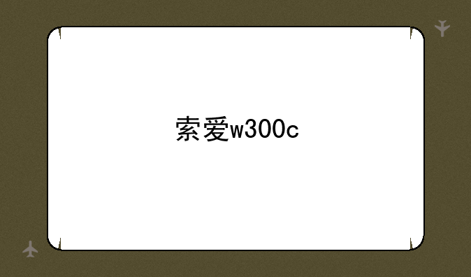 索爱w300c