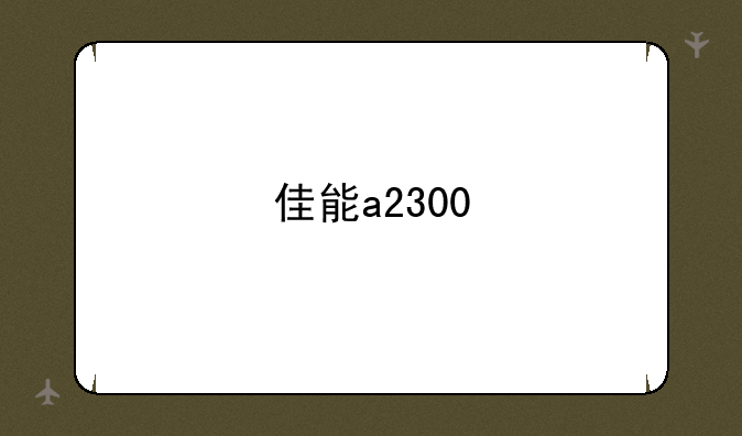 佳能a2300
