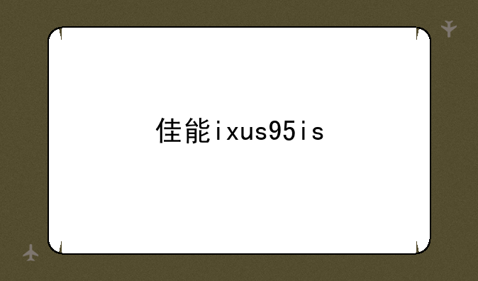 佳能ixus95is