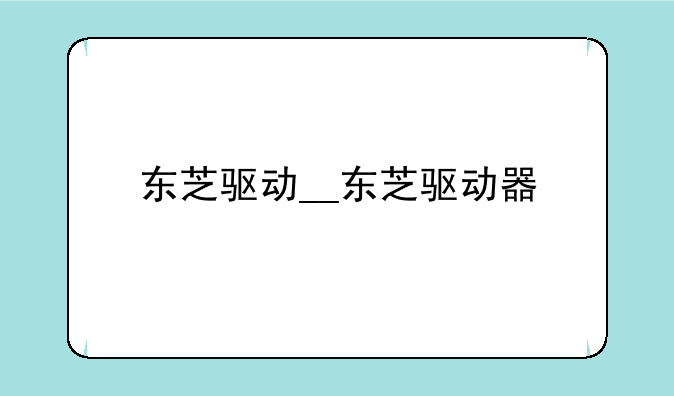 东芝驱动__东芝驱动器