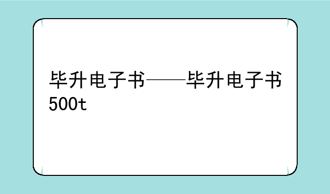 毕升电子书——毕升电子书500t