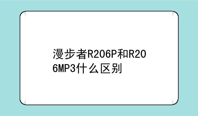 漫步者R206P和R206MP3什么区别