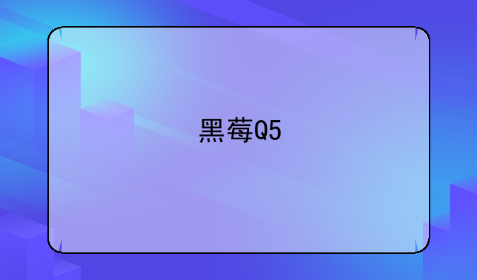 黑莓Q5/Q10/Q20，能简单说一下区别和价钱吗，听说Q20十一月份上市？