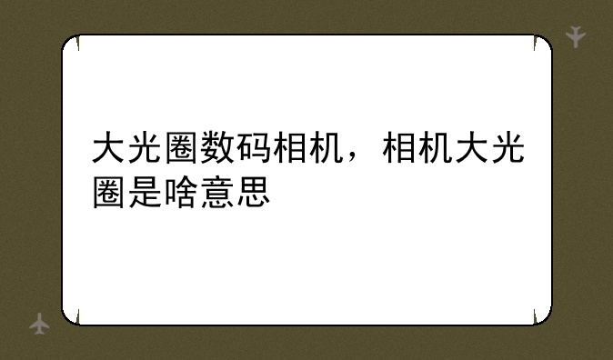 大光圈数码相机，相机大光圈是啥意思