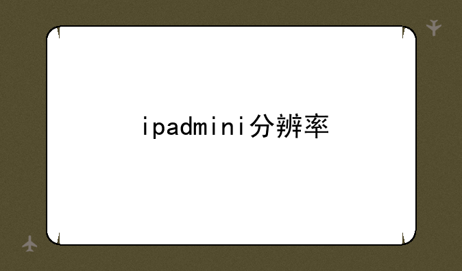 ipadmini分辨率