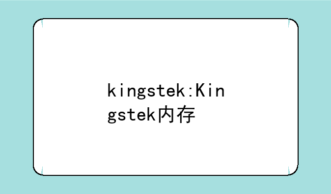 kingstek:Kingstek内存